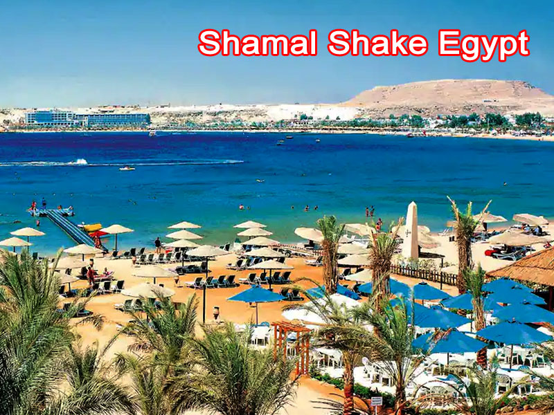 Shamal Shake Egypt